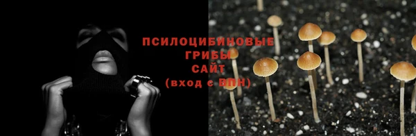 меф Алексин